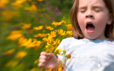 Beta Glucan Reduces Allergy Symptoms